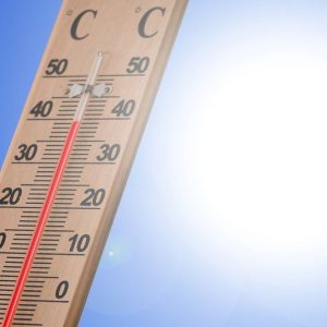 38.7 градуса достигна жегата в Хасково