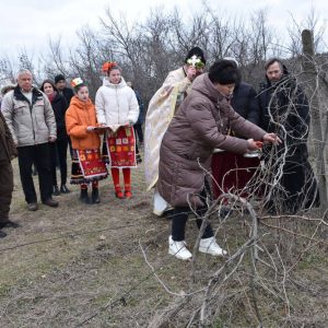 Литургия и зарязване на лозята в Харманли