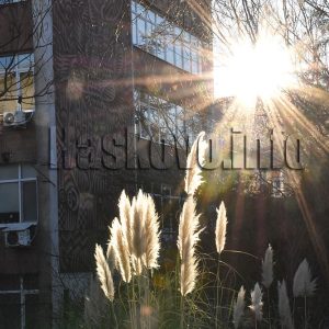 Над 17 градуса в декемврийската пролет в Хасково