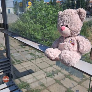 Снимка на деня: Плюшен пътник